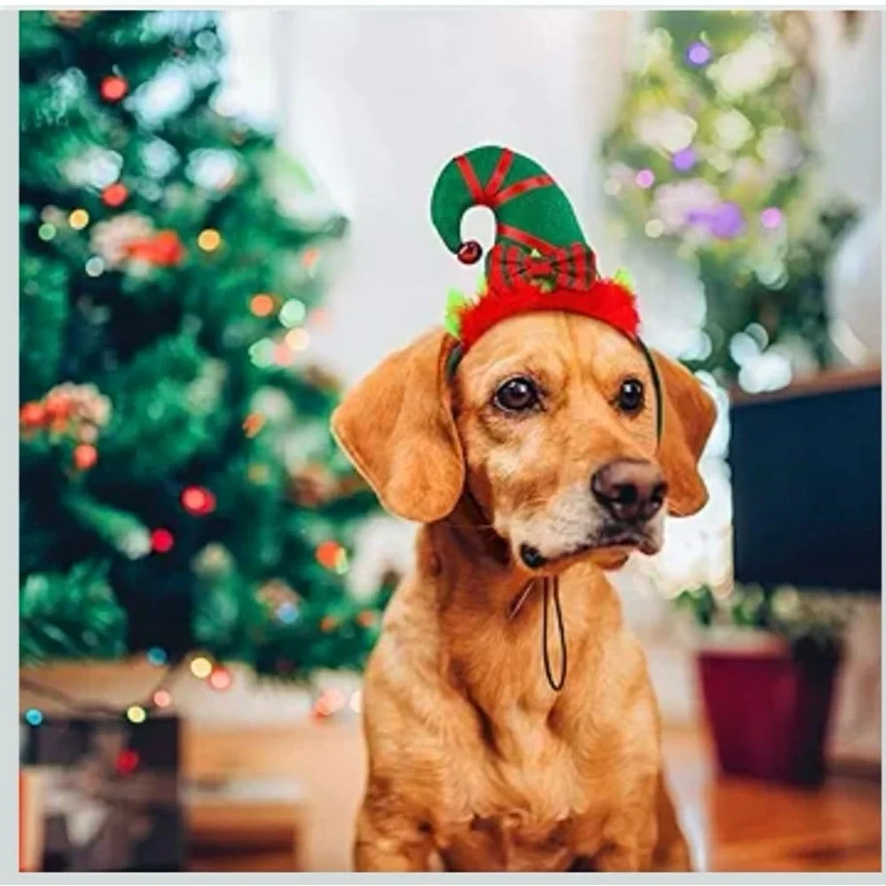 Holiday Elf Dog Headband Hat - Green/Red Festive Pet Accessory